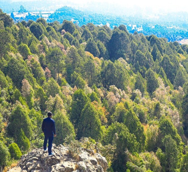 A person standing on a rocky outcrop overlooking a dense forest. 1