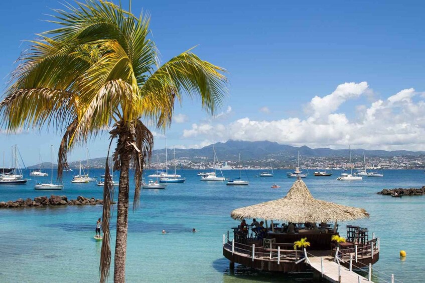 A tropical beach with a thatched-roof hut, clear blue water, and sailboats in the distance. 3