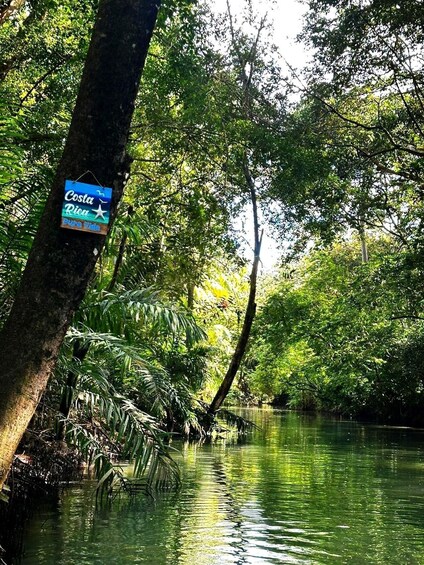 A sign on a tree in a lush, green forested area with a calm river. 5