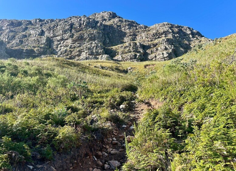 A rocky mountain landscape with a dirt path leading up. 4