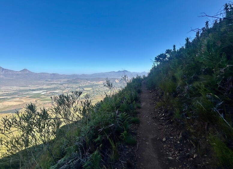 A hiking trail surrounded by dense vegetation and a valley with distant mountains. 5