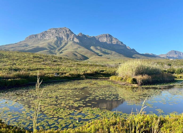 A calm lake with lily pads surrounded by grassy hills and mountains in the background. 1