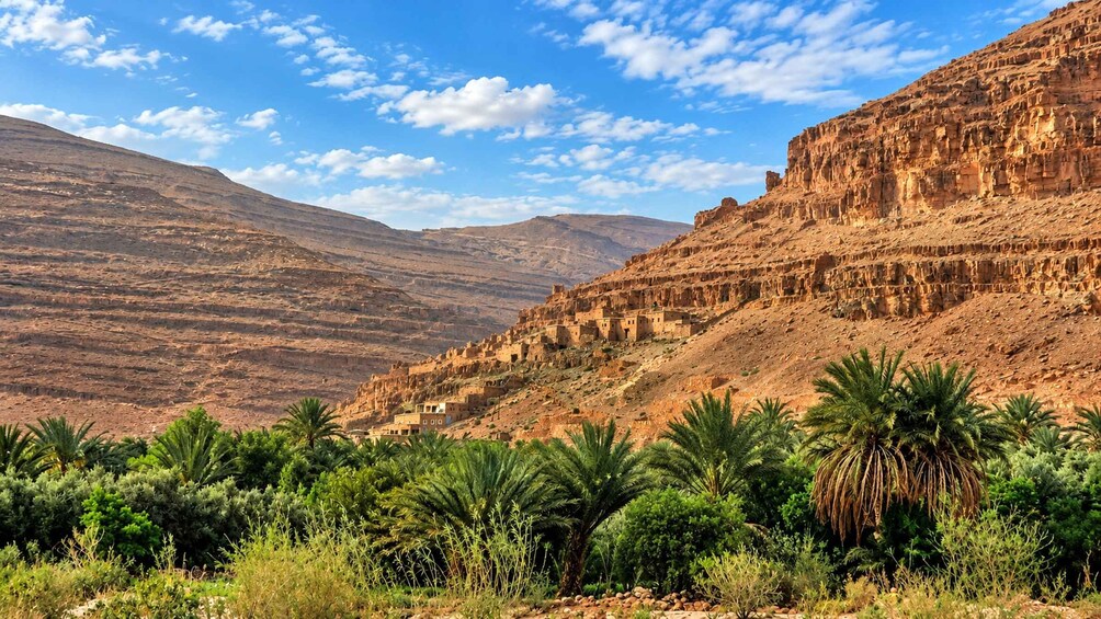 A desert landscape with palm trees and a rocky mountain. 5
