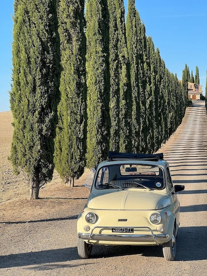 A vintage car parked on a gravel road with rows of tall cypress trees on one side. 3