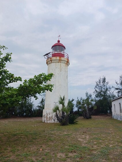 A lighthouse with a red top, surrounded by grass and trees. 2