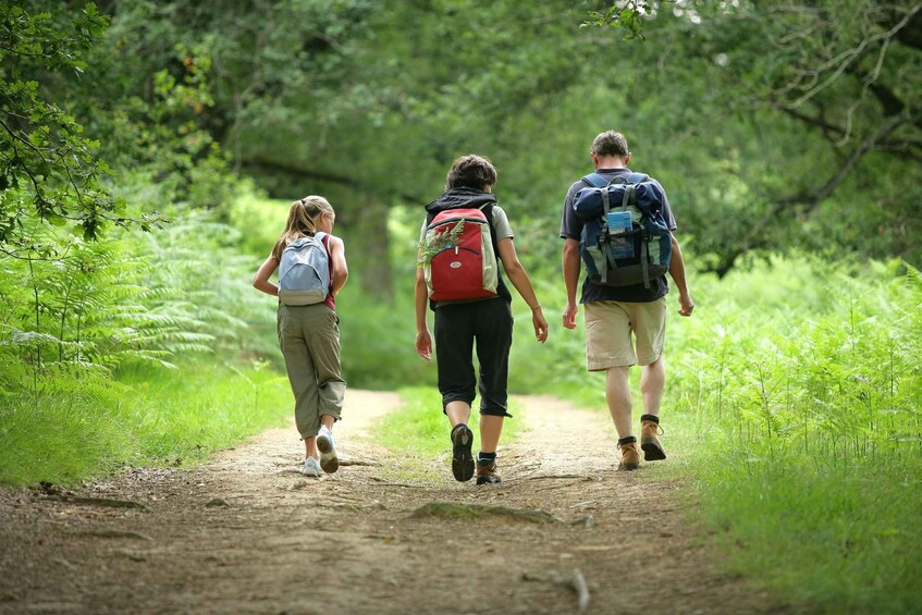 Three people hiking on a dirt path surrounded by lush greenery. 5