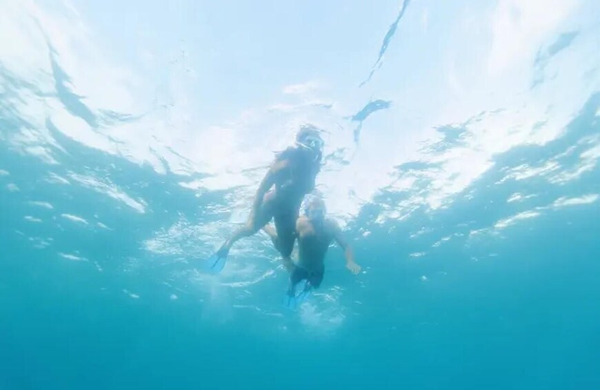 Two people swimming underwater. 5