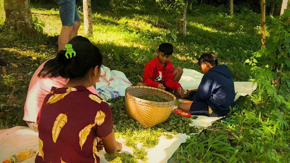 Three people sitting on the ground in a grassy area, surrounded by trees. 5