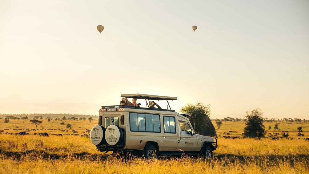 A safari vehicle with a roof rack and two people standing on top, in a grassy savannah with hot air balloons in the background. 3
