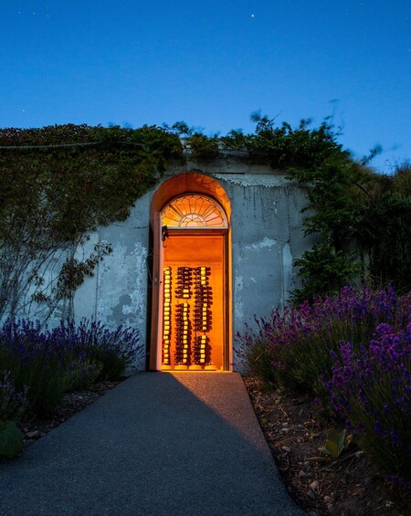A pathway leading to a door with illuminated panels, surrounded by vegetation and a clear night sky. 3
