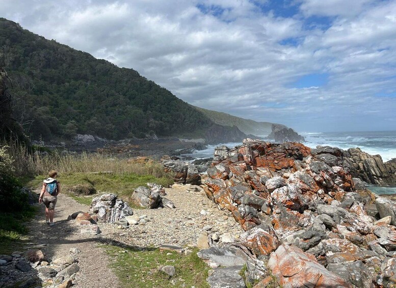A rocky coastal path with a hiker and a rugged coastline. 5