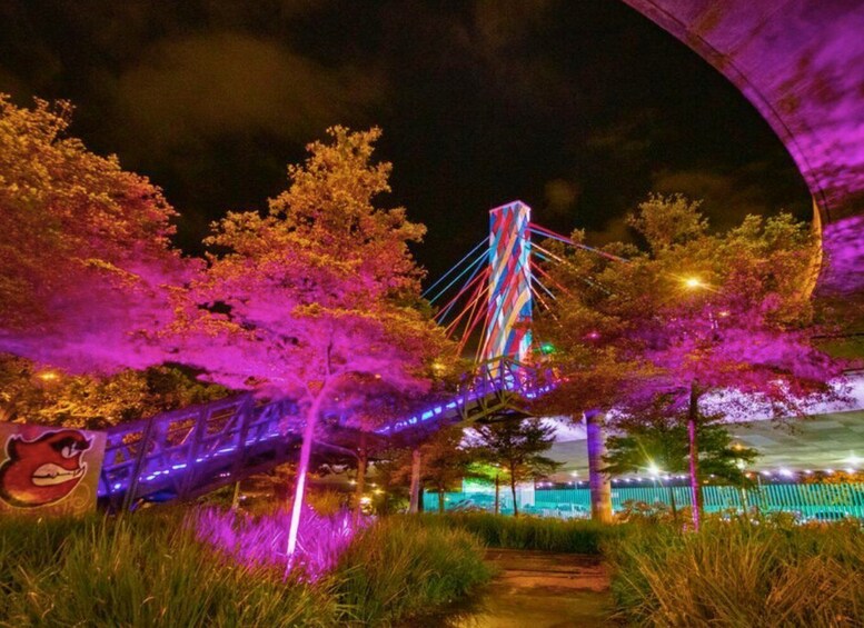A brightly lit bridge with colorful lights, surrounded by trees and a pathway. 4