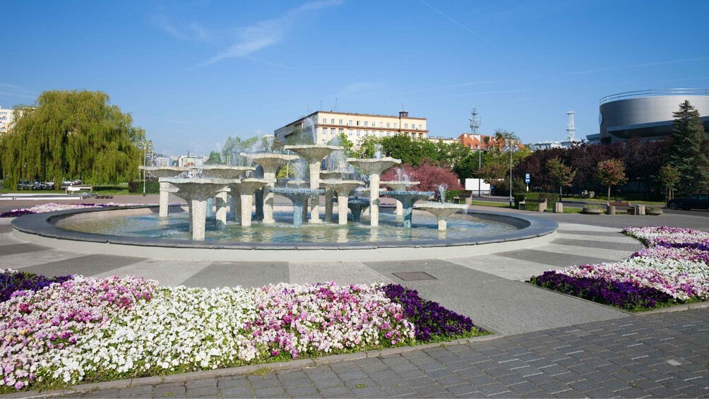 A fountain with water jets, surrounded by flower beds and a modern building in the background. 5