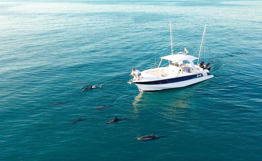 A boat with dolphins swimming around it on clear blue water. 1