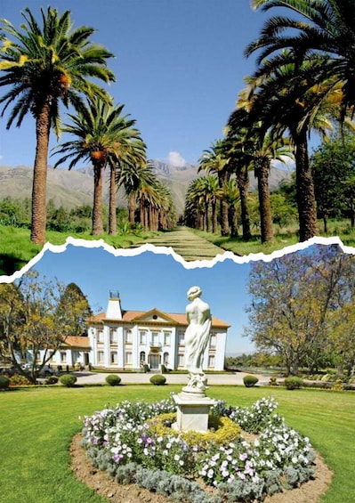 A garden with a statue, palm trees, and a building with a white facade. 5