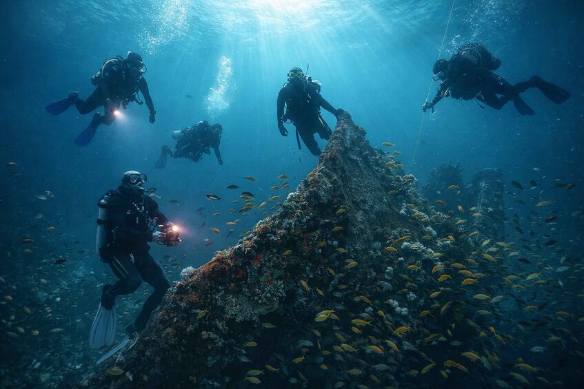 Divers exploring an underwater reef with a variety of fish. 1