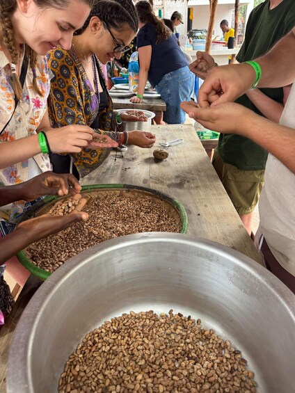People sorting beans at a table with a large metal bowl in the foreground. 5