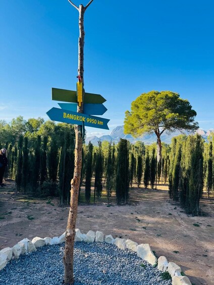 A directional signpost with 'Bangkok 9950 km' and a tree-lined landscape. 5