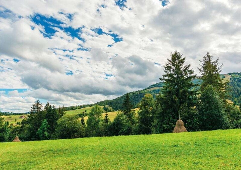 A green field with trees and a hill in the background. 2