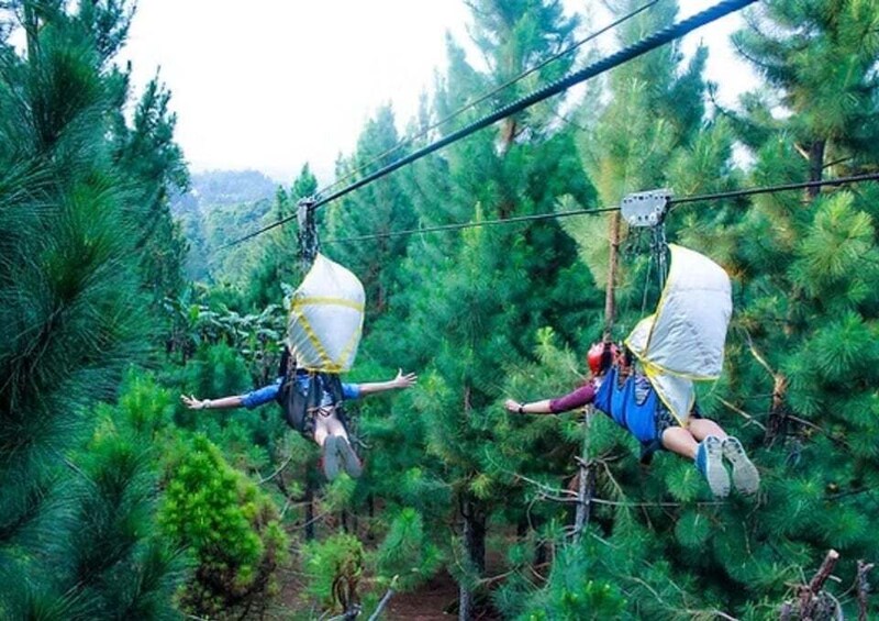 Two individuals suspended in mid-air, harnessed to cables, amidst a dense forest. 3