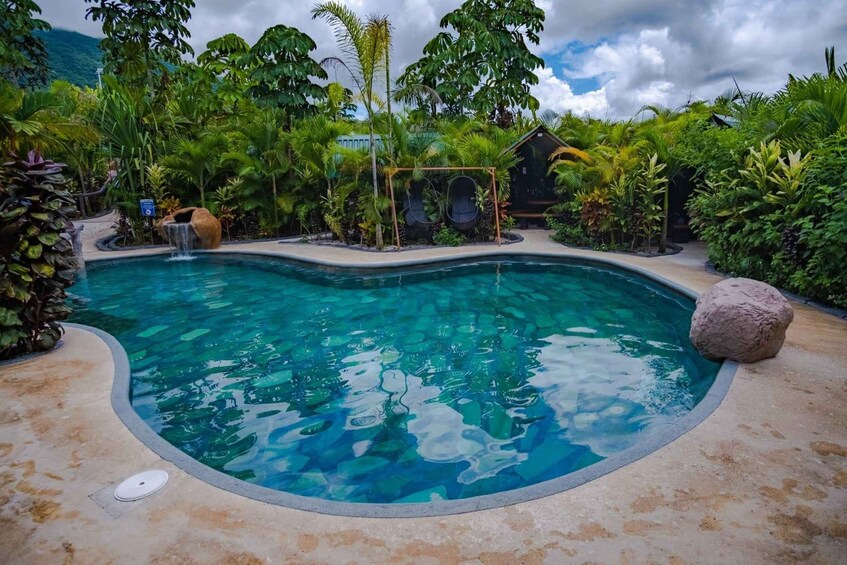 A swimming pool surrounded by tropical vegetation and a small waterfall feature. 4