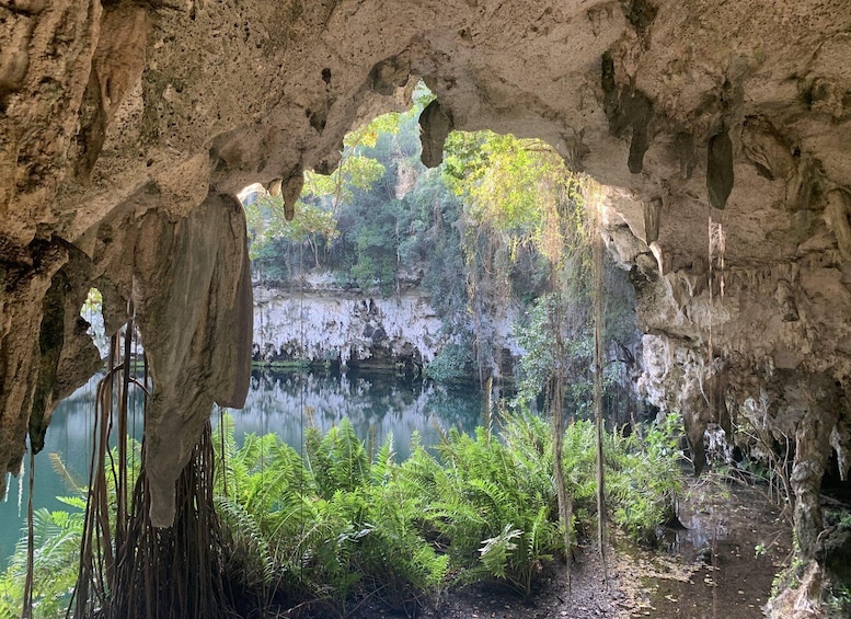 A cave entrance with a view of a forested area and a body of water. 5
