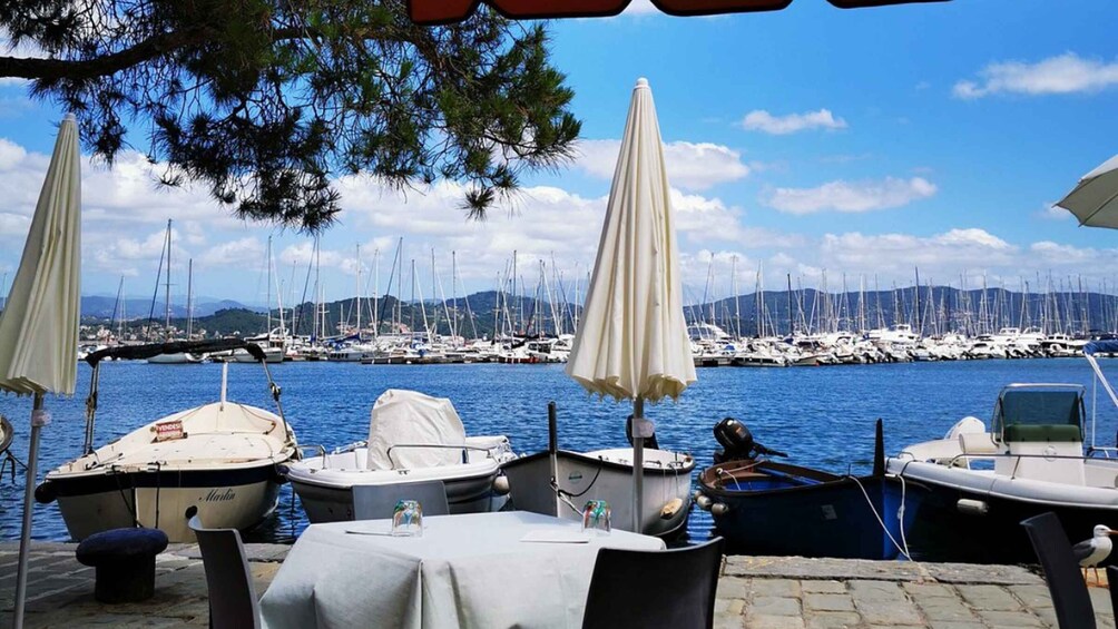A marina with boats docked, a table with a tablecloth, and umbrellas. 4