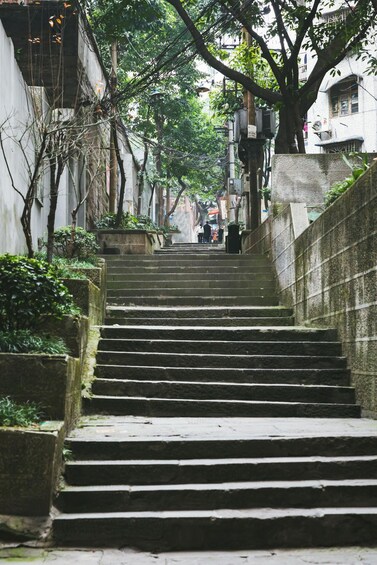 A stone staircase ascending a narrow alleyway flanked by buildings and trees. 3