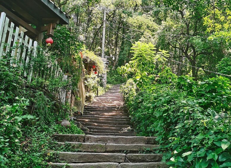 Stone steps leading up a hill, surrounded by lush greenery and a wooden fence. 4
