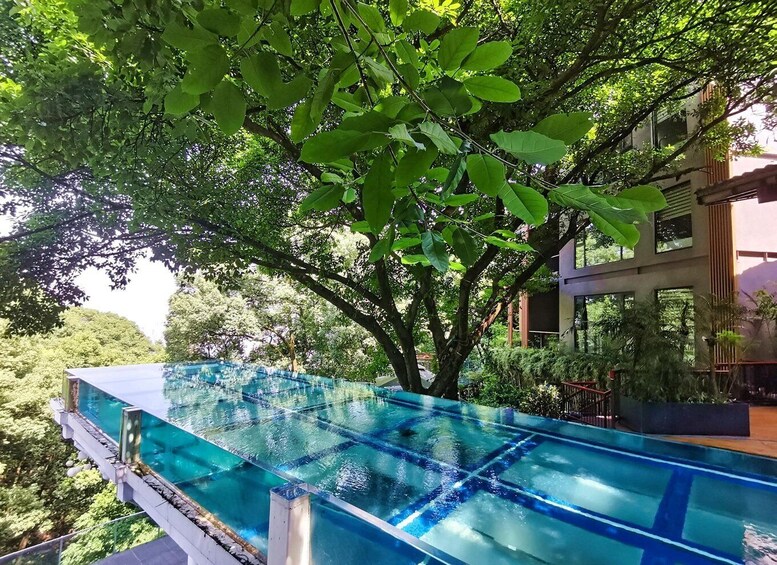 A swimming pool with a glass bottom, surrounded by lush greenery and a modern building. 2