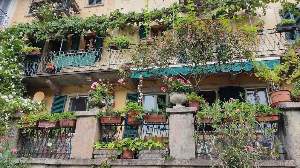 A multi-story building with balconies, green shutters, and potted plants. 4