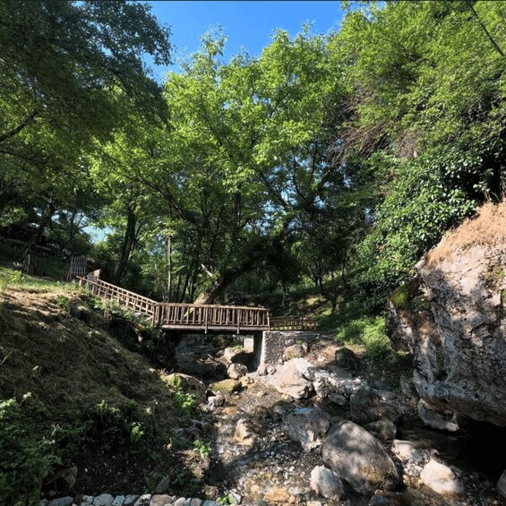 A wooden bridge over a rocky stream in a forested area. 2