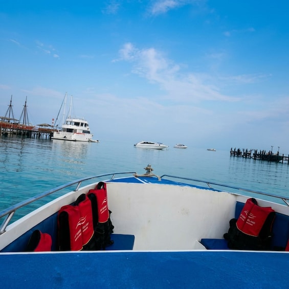 Picture 11 for Activity Koh Samui: Pig Island & Koh Tan Snorkeling Tour Kayak & Meal 2