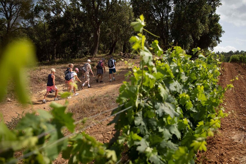 A group of hikers on a dirt trail surrounded by trees and vegetation. 1