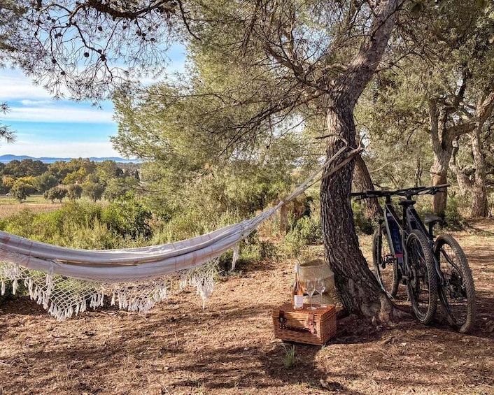 A hammock, a bicycle, and a picnic basket in a wooded area. 3