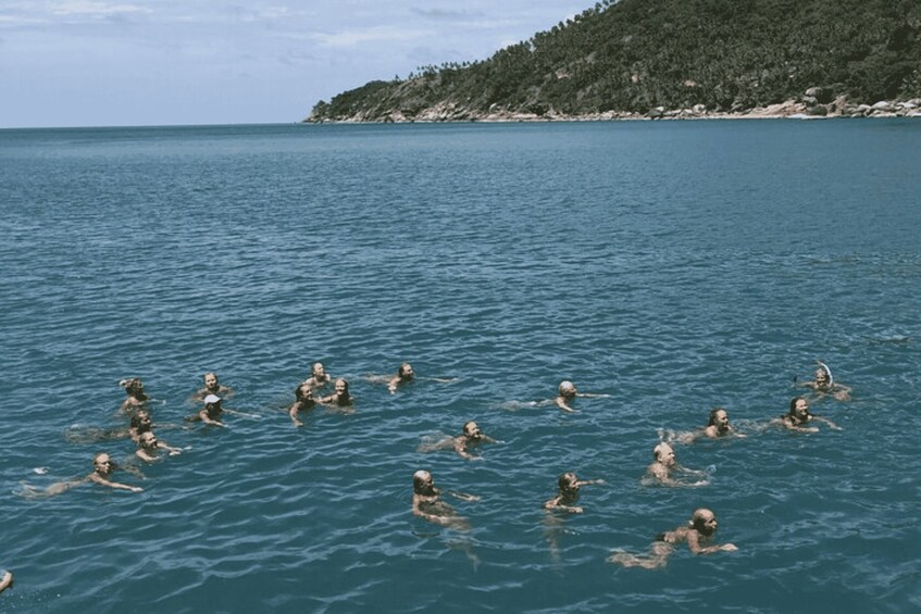 A group of people swimming in a large body of water with a hilly landscape in the background. 5