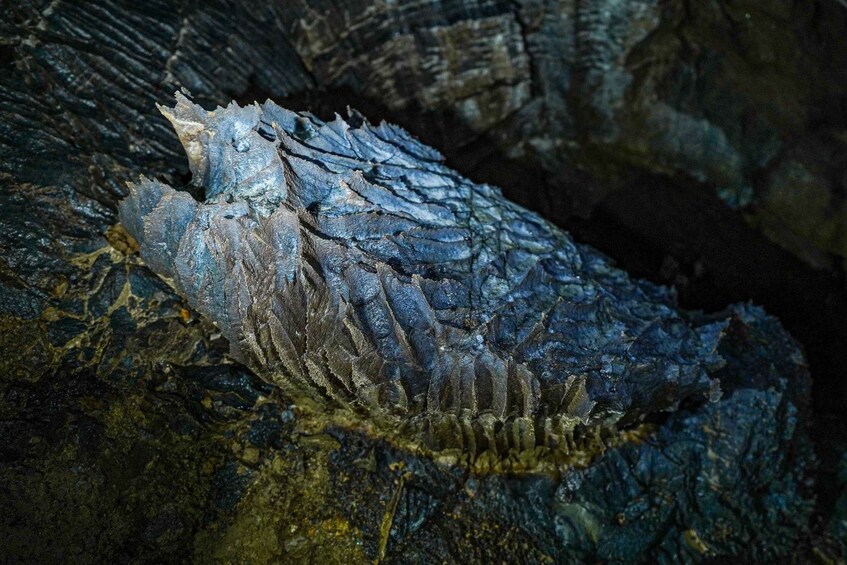 A large, textured rock formation with a rough, jagged surface. 3