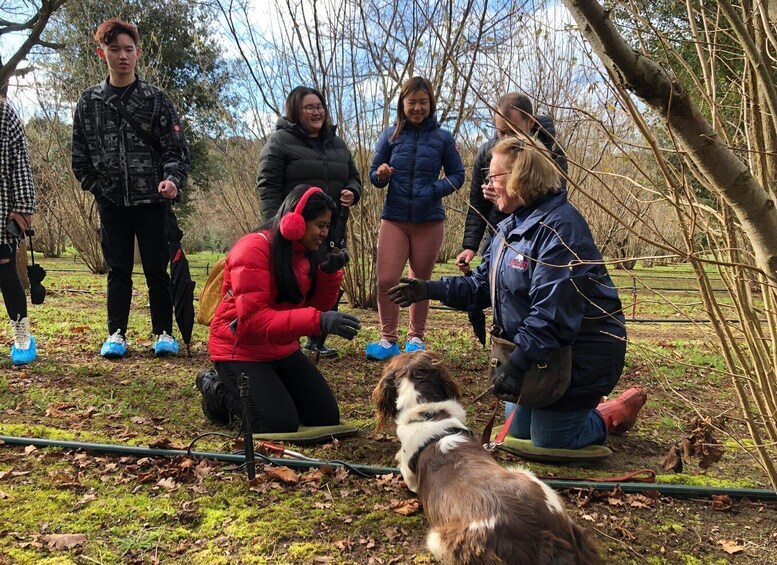 A group of people in a wooded area with a dog. 1