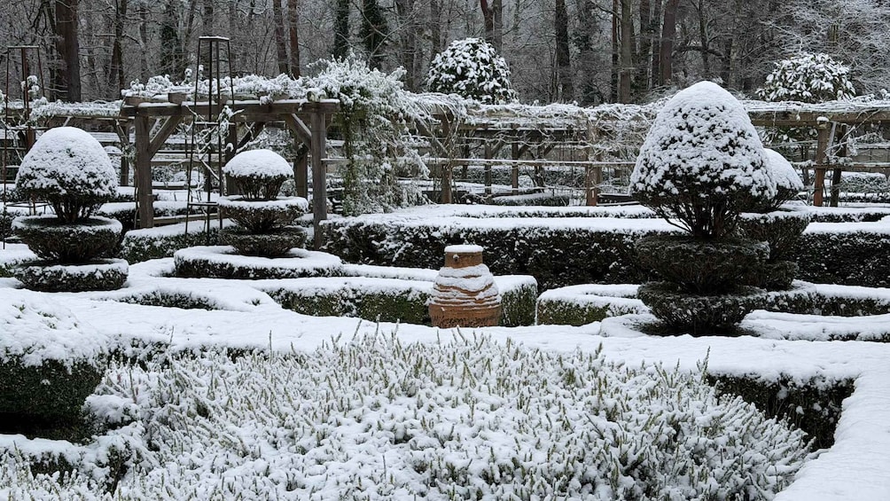 A snow-covered garden with topiary trees and hedges. 3