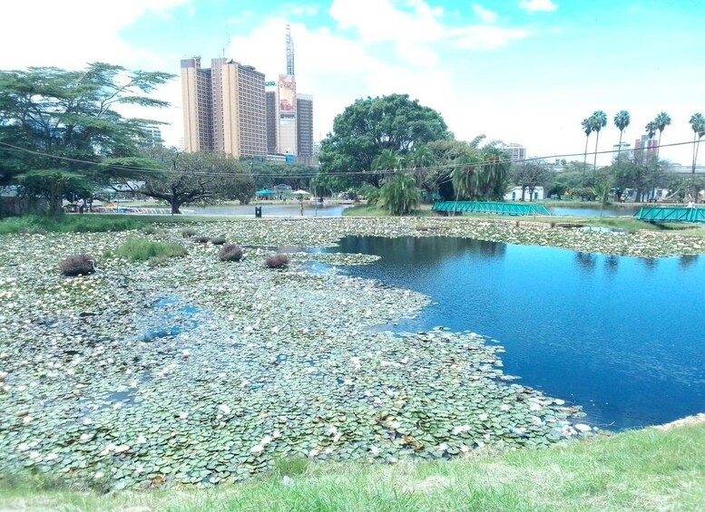 A pond with lily pads, surrounded by grass and trees, with a cityscape in the background. 1