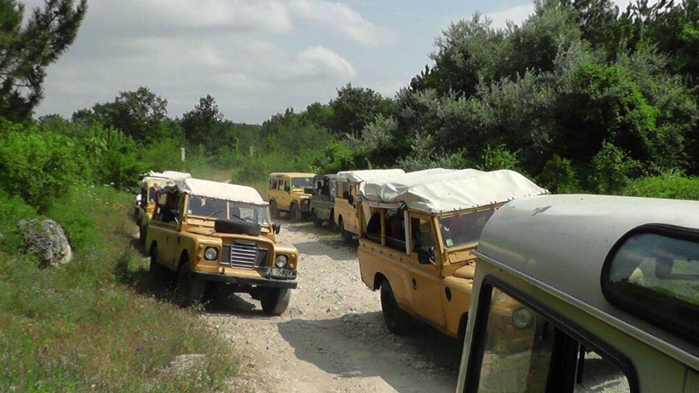 A convoy of yellow off-road vehicles parked on a dirt road surrounded by greenery. 1