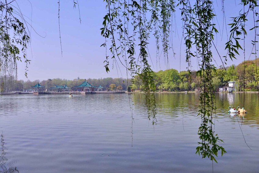 A calm lake with bamboo trees, a green-roofed pavilion, and a small boat with people. 3