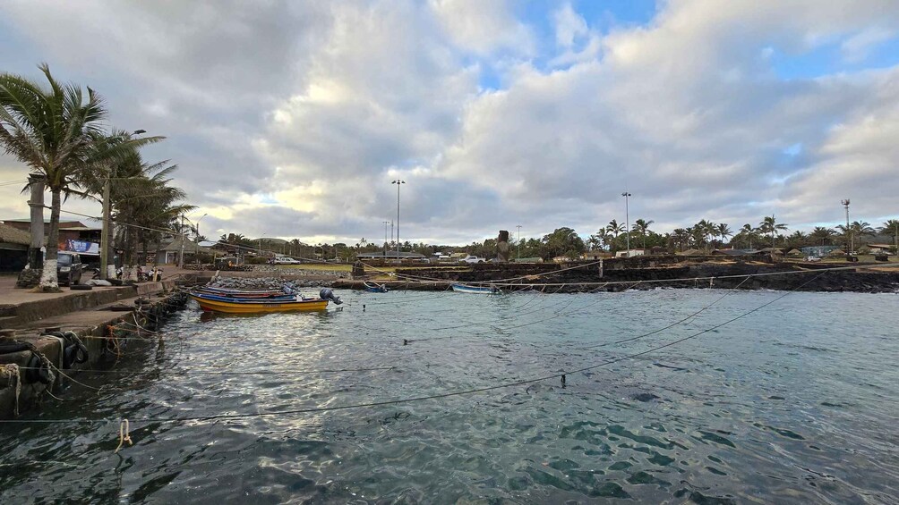 A coastal harbor with boats, palm trees, and a rocky shoreline. 4