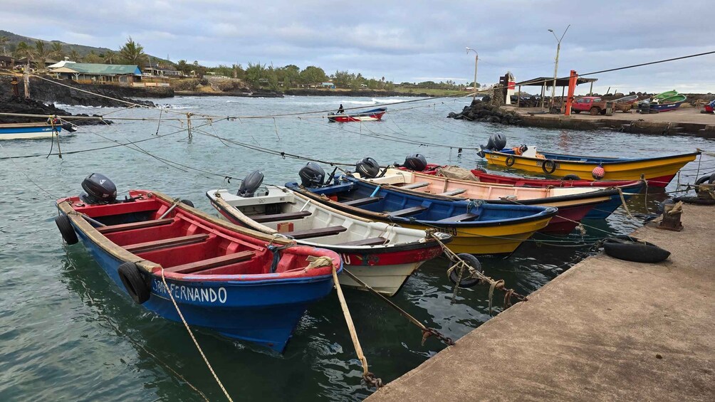 A harbor with several small boats docked, a pier, and a rocky shoreline with vegetation in the background. 3