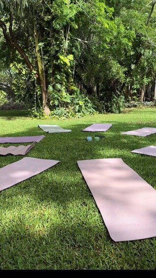 A grassy outdoor area with several yoga mats laid out on the grass. 2