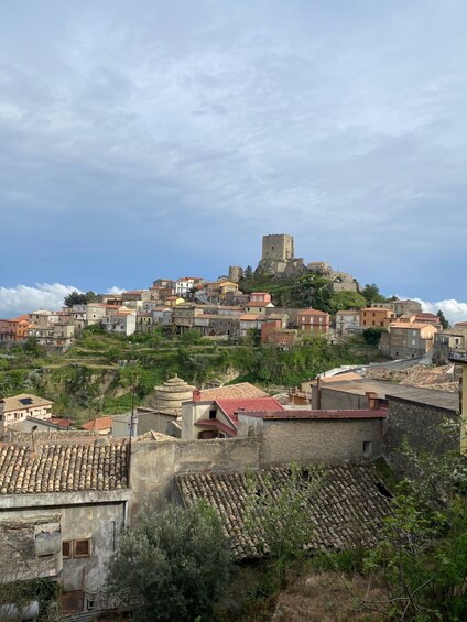 A historic town with a prominent castle on a hill, terracotta-roofed buildings, and lush greenery. 5
