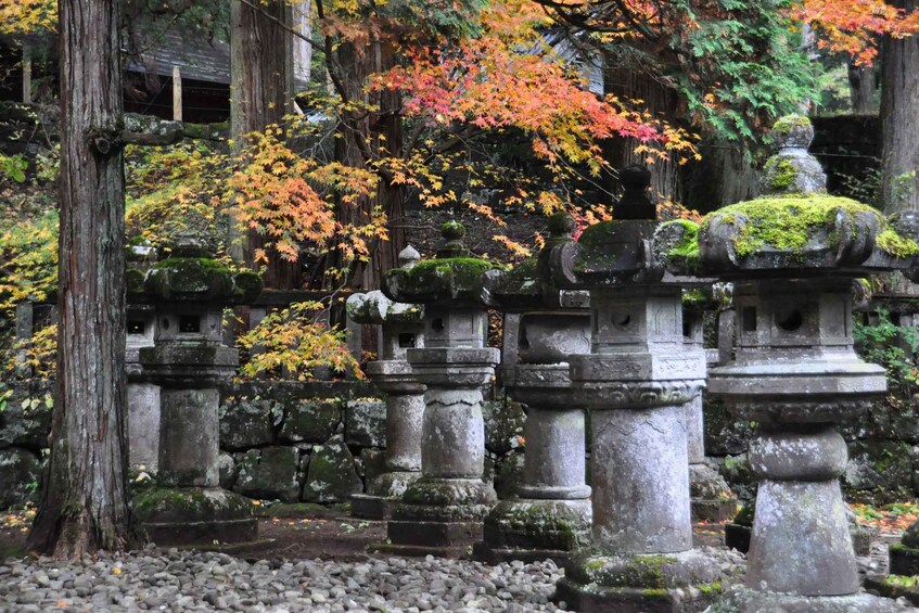 Stone lanterns, moss-covered trees, and a traditional Japanese gate. 3