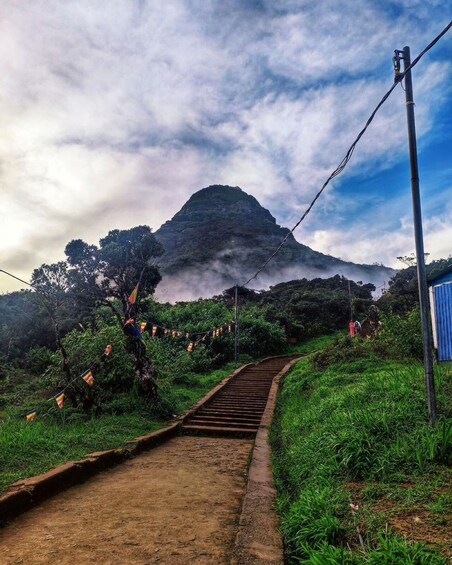 A dirt path leading to a mountain with a flag line. 2