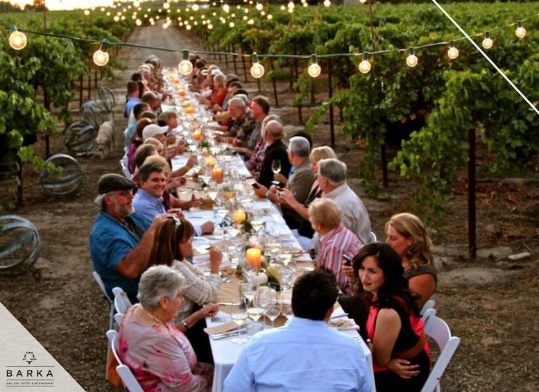 A long outdoor dining table set up in a vineyard with string lights overhead. 2