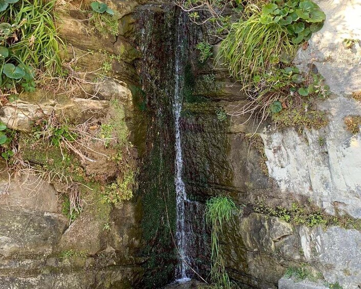 A waterfall cascading down a rocky cliff surrounded by greenery. 4